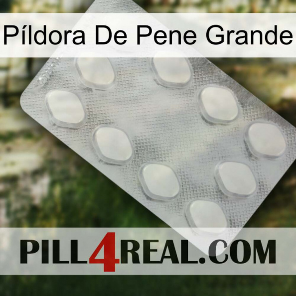 Píldora De Pene Grande 16.jpg